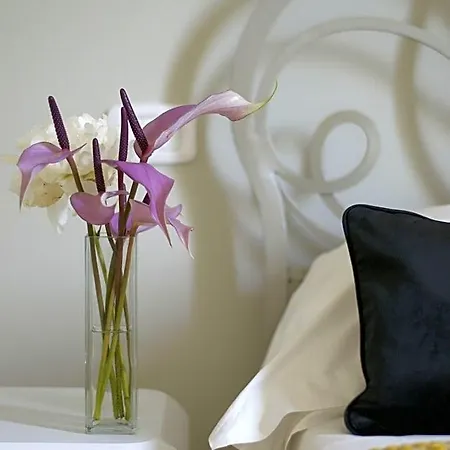 B&B Amor Bed and breakfast