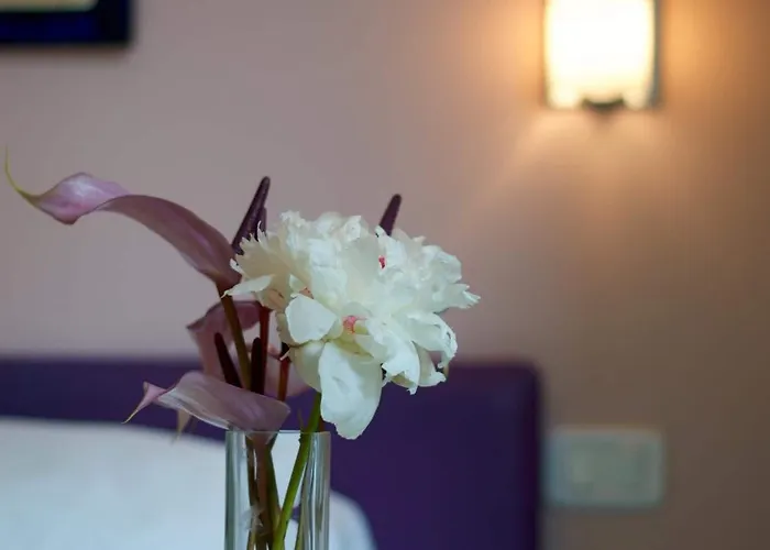 B&B Amor Bed & Breakfast Rome